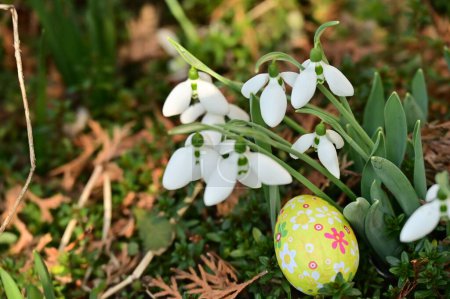 Téléchargez les photos : Oeuf de Pâques décoré coloré avec des gouttes de neige dans le jardin - en image libre de droit