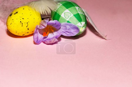 Photo for Holiday composition of  spring flower,   easter eggs and feathers - Royalty Free Image