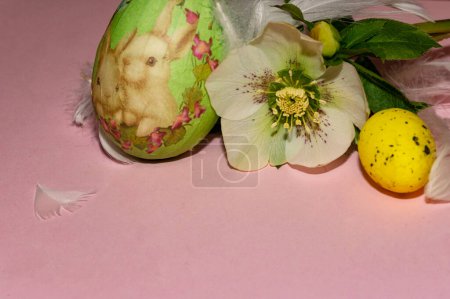 Téléchargez les photos : Holiday composition of  spring flower,   easter eggs and feathers - en image libre de droit