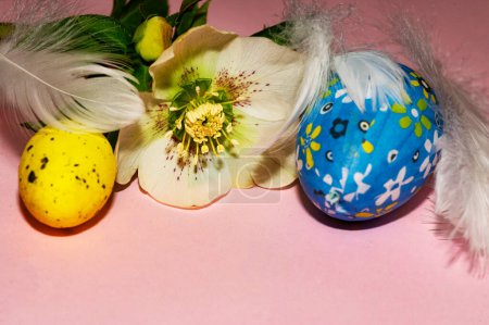 Photo for Holiday composition of  spring flower,   easter eggs and feathers - Royalty Free Image