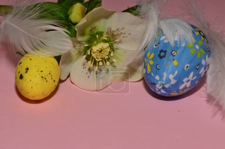 Foto de Holiday composition of  spring flower,   easter eggs and feathers - Imagen libre de derechos