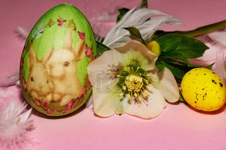 Photo for Flower and  easter eggs, close up - Royalty Free Image