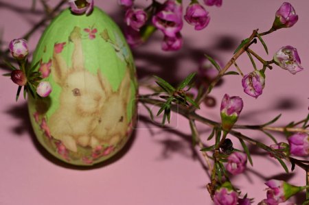 Photo for Holiday composition of  spring   flowers and  easter egg - Royalty Free Image