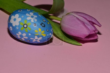 Téléchargez les photos : Tulip   flower and  easter egg - en image libre de droit