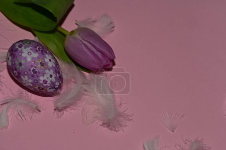 Foto de Flor de tulipán y huevo de Pascua - Imagen libre de derechos