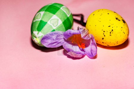 Foto de Flower and  easter eggs, close up - Imagen libre de derechos