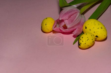 Téléchargez les photos : Fleurs de tulipe et oeufs de Pâques, gros plan - en image libre de droit