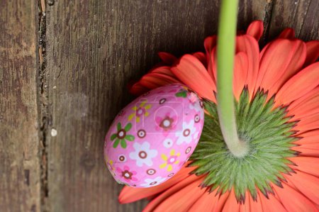Foto de Flor de gerberas y huevo de Pascua, de cerca - Imagen libre de derechos