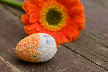 Téléchargez les photos : Gerbera fleur et oeuf de Pâques, gros plan - en image libre de droit