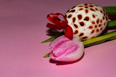 Foto de Tulip   flower and  easter egg - Imagen libre de derechos