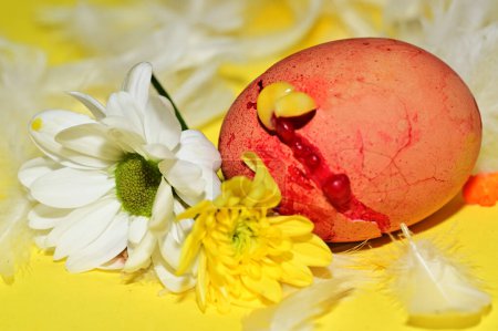 Téléchargez les photos : Colorful  flowers and  easter egg, close up - en image libre de droit