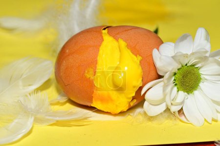Foto de Flor y huevo de Pascua en plumas, de cerca - Imagen libre de derechos