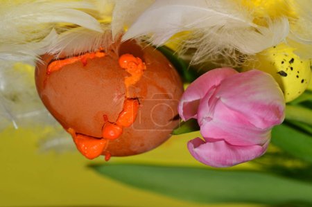 Foto de Tulip   flower and  easter egg in feathers, close up - Imagen libre de derechos