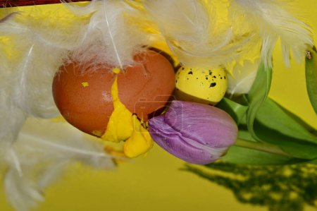 Foto de Composición de la fiesta de Pascua con huevos y flores, plumas - Imagen libre de derechos