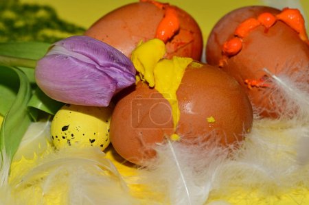 Téléchargez les photos : Composition de vacances de Pâques avec œufs et fleurs, plumes - en image libre de droit