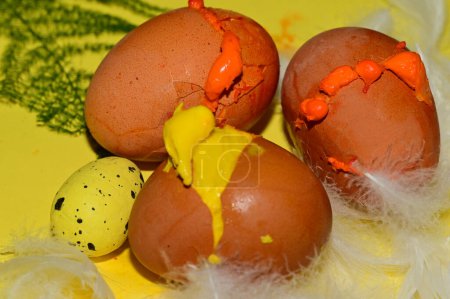 Téléchargez les photos : Composition colorée des œufs de Pâques et des plumes - en image libre de droit