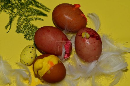 Foto de Composición colorida de huevos y plumas de Pascua - Imagen libre de derechos