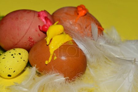 Photo for Colorful composition of easter eggs and feathers - Royalty Free Image