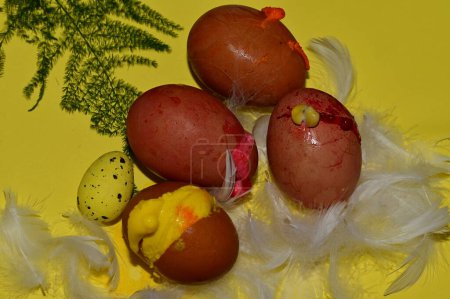 Téléchargez les photos : Composition colorée des œufs de Pâques et des plumes - en image libre de droit