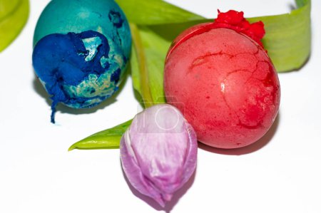 Foto de Easter holiday  composition  with eggs and flower - Imagen libre de derechos