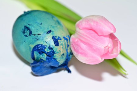 Foto de Flor de tulipán y huevo de Pascua, de cerca - Imagen libre de derechos