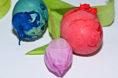 Téléchargez les photos : Tulip   flower and  easter eggs, close up - en image libre de droit