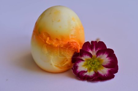 Photo for Painted easter egg and flower, close up - Royalty Free Image