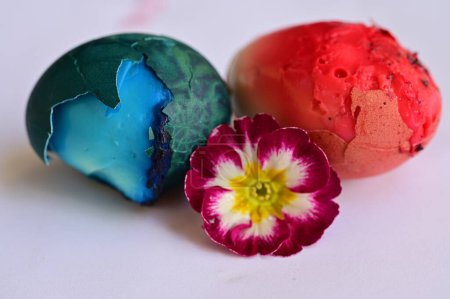 Foto de Painted easter eggs and flower, close up - Imagen libre de derechos