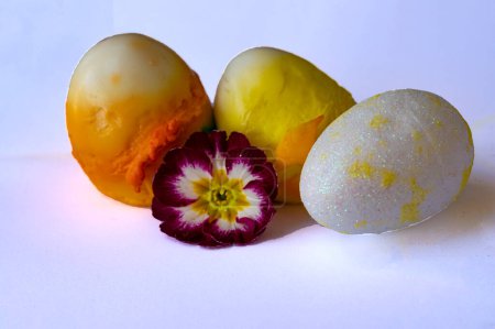 Photo for Painted easter eggs and flower, close up - Royalty Free Image