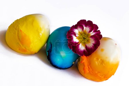 Téléchargez les photos : Oeufs de Pâques peints et fleur, gros plan - en image libre de droit