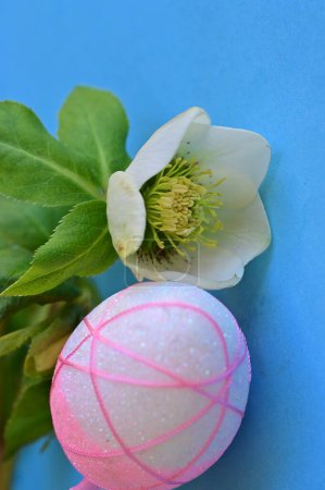 Téléchargez les photos : Beautiful   flower and  easter egg - en image libre de droit