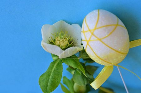 Téléchargez les photos : Belle fleur et oeuf de Pâques - en image libre de droit