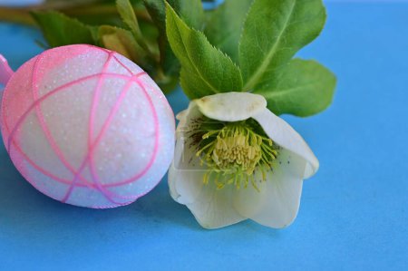 Foto de Hermosa flor y huevo de Pascua - Imagen libre de derechos