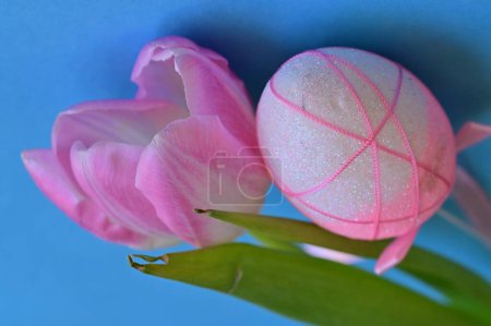 Téléchargez les photos : Fleur de tulipe et oeuf de Pâques - en image libre de droit