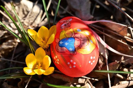 Foto de Hermosas flores y huevo de Pascua en el jardín - Imagen libre de derechos
