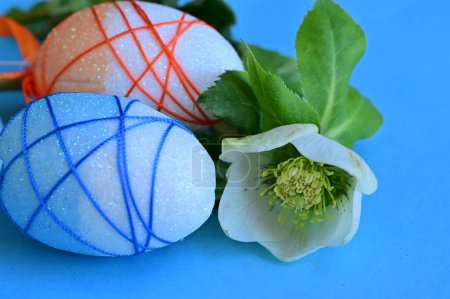 Foto de Hermosa flor y huevos de Pascua - Imagen libre de derechos