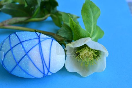 Téléchargez les photos : Beautiful   flower and  easter egg on blue background - en image libre de droit