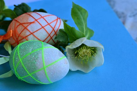 Téléchargez les photos : Belle fleur et oeufs de Pâques - en image libre de droit