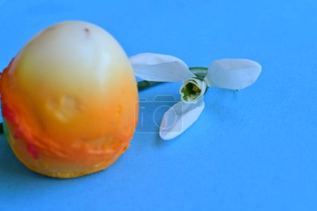 Foto de Flor de la gota de nieve y huevo de Pascua sobre fondo azul - Imagen libre de derechos