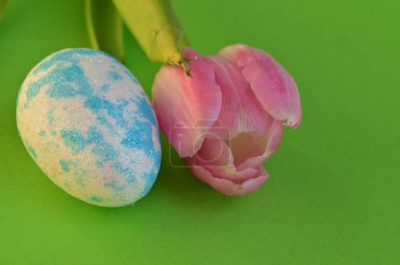 Photo for Beautiful    tulip  flower and  easter egg - Royalty Free Image