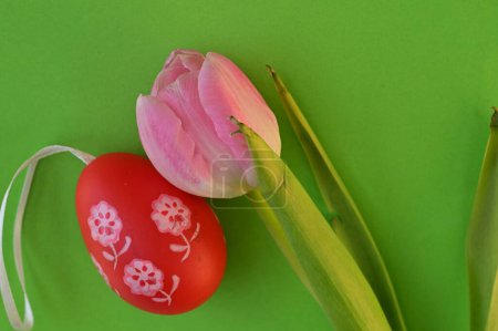 Photo for Beautiful    tulip  flower and  easter egg - Royalty Free Image