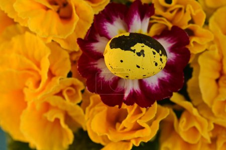 Foto de Flores de colores y huevo de Pascua, de cerca - Imagen libre de derechos