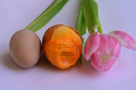 Photo for Beautiful    tulip  flower and  easter eggs - Royalty Free Image