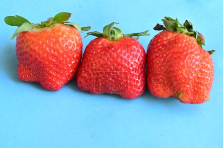 Photo for Close up of fresh strawberries - Royalty Free Image