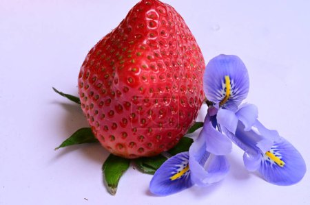 Foto de Flor del iris y fresa, de cerca - Imagen libre de derechos