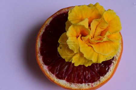 Photo for Fresh grapefruit slice and flower  isolated on white background. - Royalty Free Image