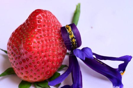 Foto de Flor del iris y fresa, de cerca - Imagen libre de derechos