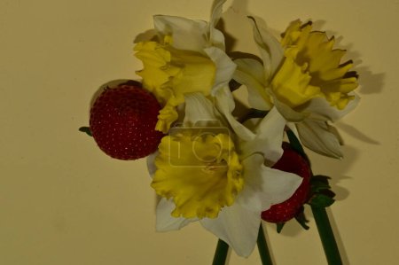 Téléchargez les photos : Daffodils  and fresh strawberries spring background. - en image libre de droit