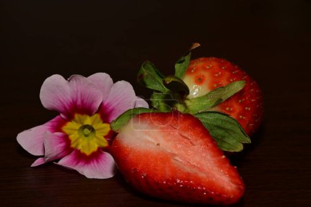 Photo for Flower and fresh strawberries spring background. - Royalty Free Image