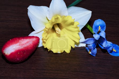 Foto de Close up of spring flowers and  strawberry - Imagen libre de derechos